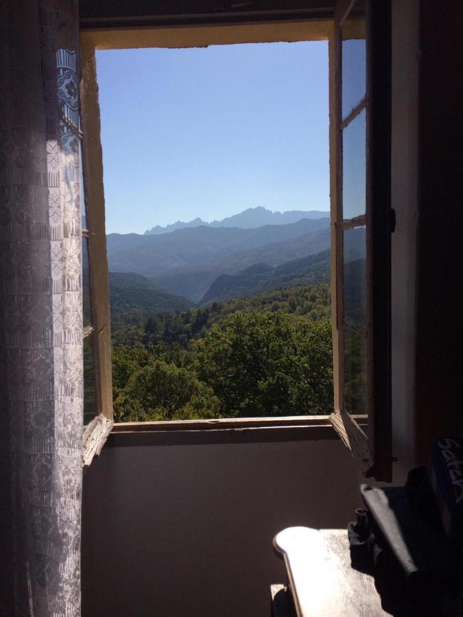PioggiolaCasa Franceschi住宿加早餐旅馆 外观 照片